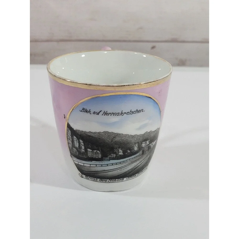 German Souveneir Cup Blick auf Herrnskretschen Gruss aus Schona Pink White Vtg